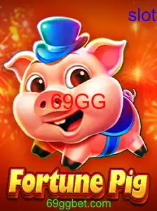 FortunePig